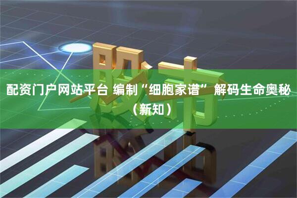 配资门户网站平台 编制“细胞家谱” 解码生命奥秘（新知）