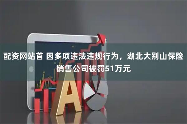 配资网站首 因多项违法违规行为，湖北大别山保险销售公司被罚51万元