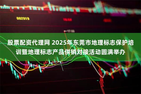 股票配资代理网 2025年东莞市地理标志保护培训暨地理标志产品供销对接活动圆满举办