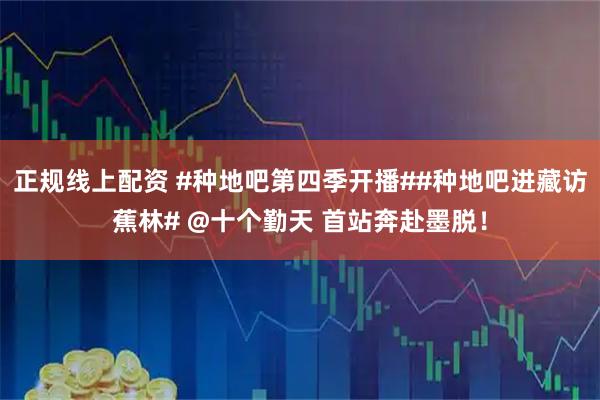 正规线上配资 #种地吧第四季开播##种地吧进藏访蕉林# @十个勤天 首站奔赴墨脱！